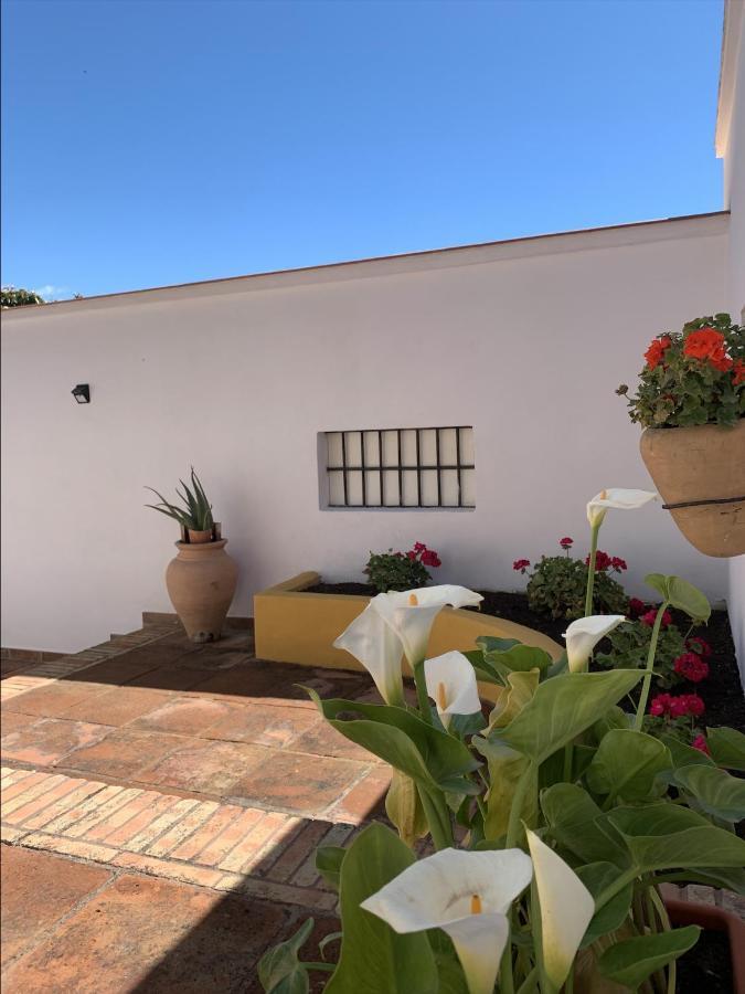 Encantador Apartamento-Céntrico-con Amplio Jardín Torremolinos Exterior foto