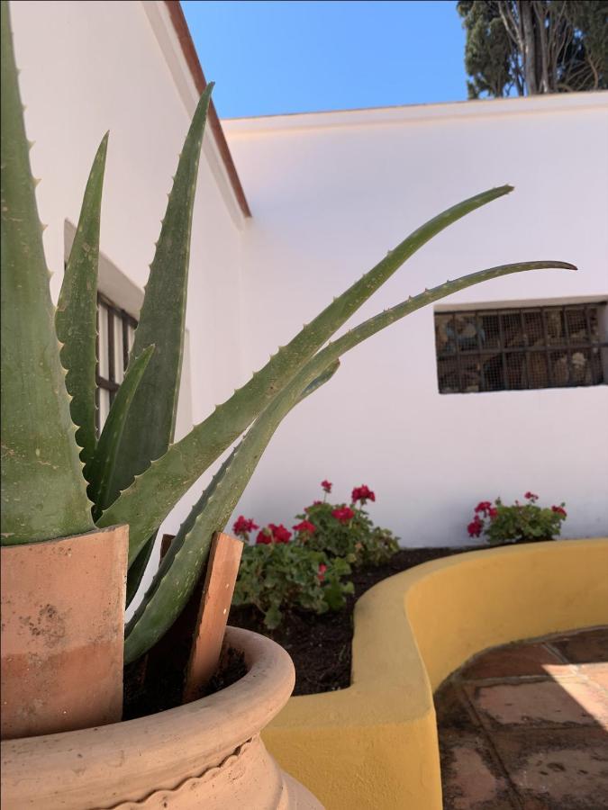 Encantador Apartamento-Céntrico-con Amplio Jardín Torremolinos Exterior foto